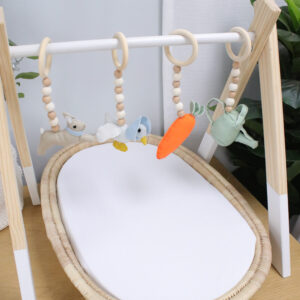 Baby Gym - Themed Dangles - Peter Rabbit