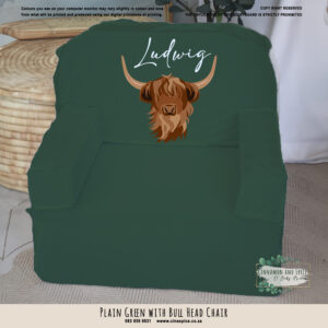 A Kids Sofa Foam Chair – Plain Green with Bull Head Chair